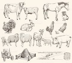 Farm Animals Set Of Vector Sketches On A White Background Sketches Vector Sketch Sheep Illustration