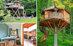 Sie haben noch nie camping am see in frankreich erlebt? Baumhaushotels In Bayern 16 Wipfelherbergen Fur 2021