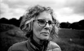 PhotoTherm film processor users