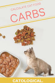 How To Calculate The Carbohydrate Levels In Cat Food Best Cat Food Cat Food Brands Kitten Food
