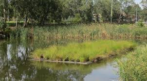 Pin On Water Management