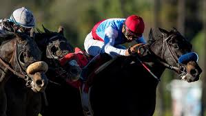 Medina spirit, ridden by jockey. Game Medina Spirit Earns Hard Fought Victory In Robert B Lewis America S Best Racing