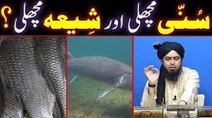 Seafood such as shrimps that do not have fins and scales so they are not halal. Sunni Fish Aur Shia Fish Whale Fish Haram By Engineer Muhammad Ali Mirza Youtube