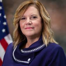 V3Gate Executive of the Year