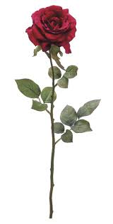 Everything Is Gonna Be Ok Red Roses Red Rose Png Flowers