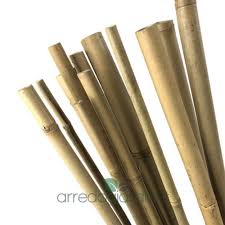 Oltre che per arredare, sono utilizzate per pratiche agricole. Canne Bambu Bamboo Lunghezza Cm 60 Diametri Arredogiardini It