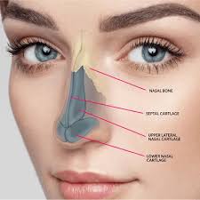 How Does a Non Surgical Nose Job Enhance Your Appearance?