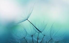 3 steps to calm your mind with mindfulness | Psychologies