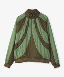 Image result for Pacific Green 2001 Puma