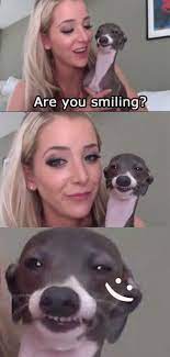 Mommy was so happy to meet an kermit she an cry. 17 Jenna Marbles Kermit The Dog Moments