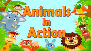 Does your little one know where do goats live? Wild Animal Songs For Kids Zoo Jungle Safari Prekinders