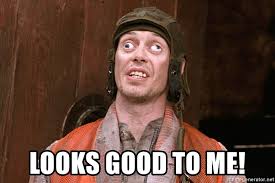 Looks good to me! - Steve Buscemi Confused | Meme Generator