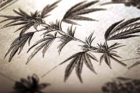 Get inspired by our community of talented artists. Die Geschichte Von Cannabis Als Medizin