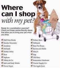 Here S A Listing Of Dog Friendly National Chain Stores You Can Find Throughout The Us Michaels Homedepot Tar Dog Training Obedience Training Your Dog Pets