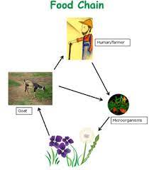 What Is Biodiversity