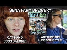 Sena Farm Brewery in Worthington Massachusetts! Side Quest to Pet Cats and  Dogs