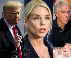 Here is George Clooney response after Trump accused him of being a  "Hollywood elite." "Here's the thing: I grew up in Kentucky. I sold  insurance door-to-door. I sold ladies' shoes. I worked