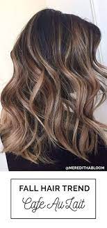 2016 Fall Winter Hair Color Trends Guide Balayage Hair Coloring And Brunettes