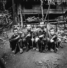 After fighting alongside the french in the indochina war and the americans during the vietnam war, the hmong people were. Custom Essay Amazonia Fiocruz Br