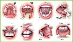 Symptoms of mouth and oropharyngeal cancer include a mouth ulcer that doesn't heal or a swelling or lump in the neck. How Mouth Cancer Occurs Know Its Symptoms Preventive Measures And Causes Newstrack English 1