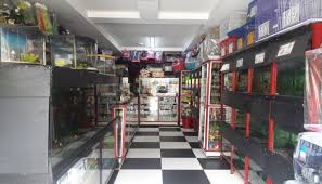 Clinica veterinaria el manantial