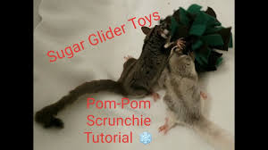 Among plastic toys, acrylic toys make the best option available for sugar gliders, as they are hard to chew. Sugar Glider Toys Pom Pom Squiggie Tutorial Youtube
