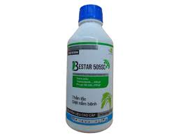 Bestar 505SC
