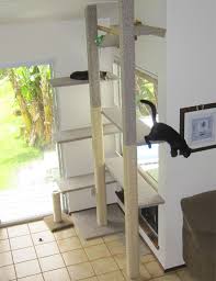 toutes les tailles cats in the new cat tree flickr partage de photos diy cat tree cat diy cat habitat