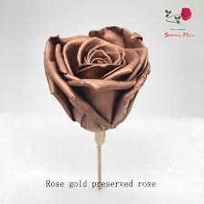 In a rgb color space, hex #b76e79 (also known as rose gold) is composed of 71.8% red, 43.1% green and 47.5% blue. Gold Plated Rose Rose Gold Color Preserved Roses For Sale Buy Gold Plated Rose Preserved Roses For Sale Rose Gold Preserved Roses Product On Alibaba Com
