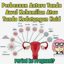 Kesakitan pada bahagian perut dan pelvis jika anda mengalami sebarang simptom yang disebutkan di atas atau berlaku pendarahan yang semakin teruk, anda harus segera berjumpa doktor. Jom Usaha Hamil Perbezaan Antara Tanda Awal Kehamilan Facebook