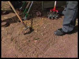 Check spelling or type a new query. How To Pick The Right Tool For Weeding The Garden Youtube