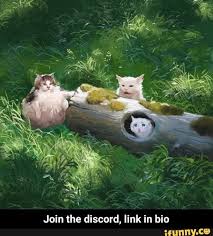 Join The Discord Link In Bio Join The Discord Link In Bio Ifunny Cat Memes Animal Memes Cute Animals