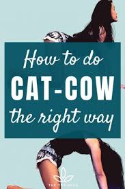 Cat pose to cow pose. How To Do Cat Cow Pose Correctly Video Tutorial Inside The Yogamad