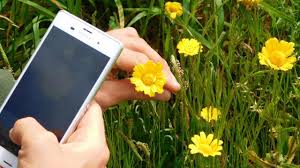 Möchtest du, dass das gardena smart system deinen garten via app bewässert? Pflanzen Per App Bestimmen Die Besten Tools Utopia De