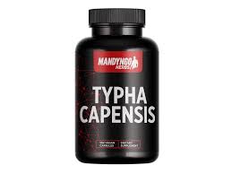 Image result for Typha capensis