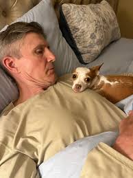 My dog and I were pregnant at the same time so we took our maternity photos  together They are NOT the same father 😂 For those of you concerned about  breeding, she