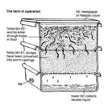 Worm Farming - A Guide On How To Set Up A Worm Farm