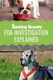What Does The New Fda Investigation Mean For Your Dog Dog Food Recipes Dog Food Brands Dog Food Advisor