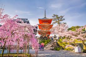 Too lazy to be ambitious, i let the world take care of itself. Can I Travel To Japan Now March 2021 Inside Kyoto