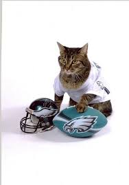 Great Idea For Your Next Pet Portrait Philladelphia Eagles Cute Animals Dog Football