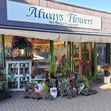 Maybe you would like to learn more about one of these? Always Flowers Billericay Cm12 0ua 30 Reviews