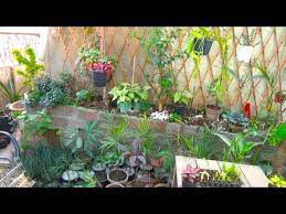Aur kaise banate hai bhut hi details ke saath information share kiya hai dhwnayawad. 734 Main Ne Kyari Kese Bnai Thi How To Build A Concrete Planter Gardening Idea Youtube