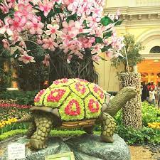 The Beautiful Japanese Tea Garden Display At The Bellagio Conservatory Botanical Garden In 2016 Bellagio Botanicalgarden Turtle Vegas Visitvegas Lasveg