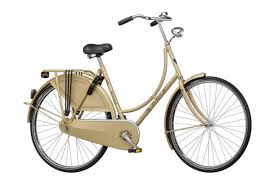 Holland Sport Oder Cityrad Welcher Fahrradtyp Ist Der Richtige Stern De