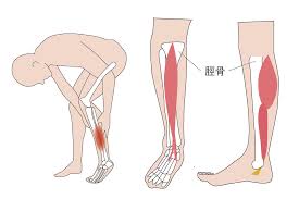 305,673 likes · 1,408 talking about this. ã‚·ãƒ³ã‚¹ãƒ—ãƒªãƒ³ãƒˆã®ã‚¹ãƒˆãƒ¬ãƒƒãƒæ–¹æ³•ã«ã¤ã„ã¦è§£èª¬ äºˆé˜²ã¨ç—›ã¿ã®ç·©å'Œã«åŠ¹æžœçš„ Tential ãƒ†ãƒ³ã‚·ãƒ£ãƒ« å…¬å¼ã‚ªãƒ³ãƒ©ã‚¤ãƒ³ã‚¹ãƒˆã‚¢