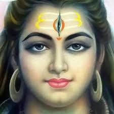 Neelam Dave (neelamdave33)