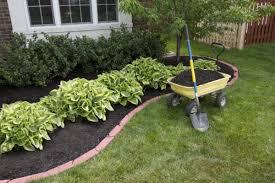 In order to have a successful garden it's important that you create an area that is beautiful and healthy. 25 Cheap Landscaping Ideas That Fit Your Budget Mymove
