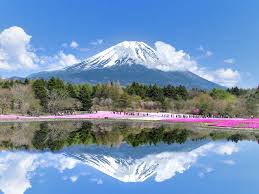 National Parks And Seaside Retreats In Greater Tokyo Time Out Tokyo