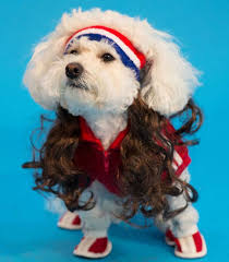 There are 164 different types of dogs listed below with pictures of each one. Mullet On The Go The All American Dog Headband Noveltystreet