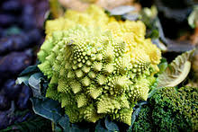 The closer the spacing, the smaller the curds, so it's really up to you how far or near you plant. Romanesco Broccoli Wikipedia